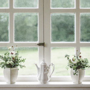 windows